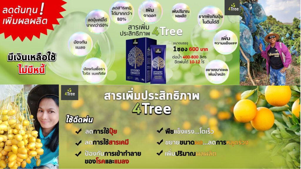 4tree 169 (1)