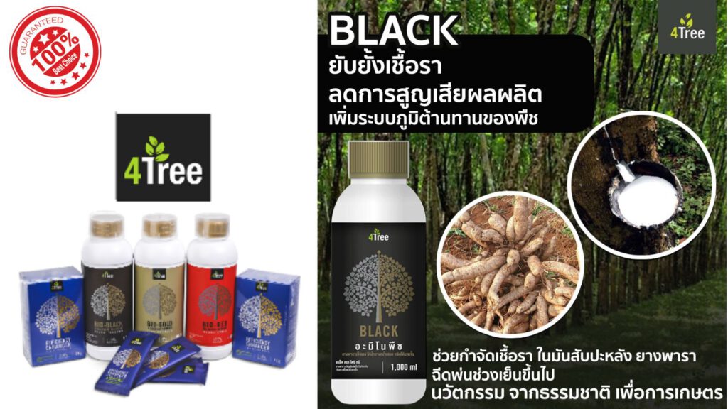 4tree 169 (13)